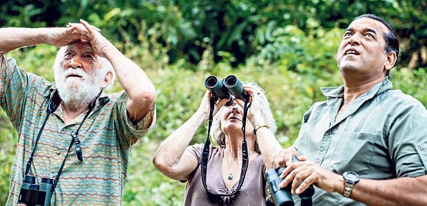 David Bellamy goes back to nature